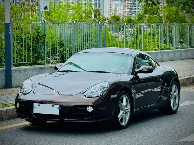 Porsche Cayman, 2010