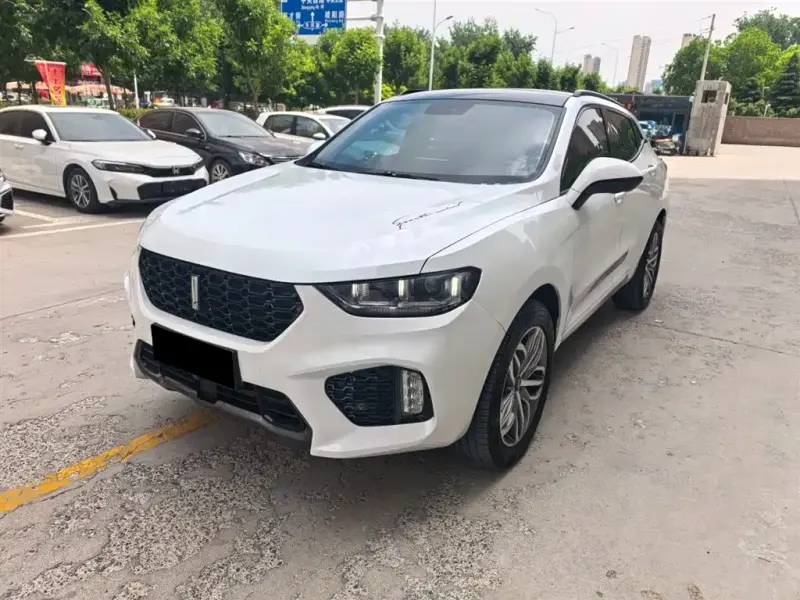 Wey VV5, 2017