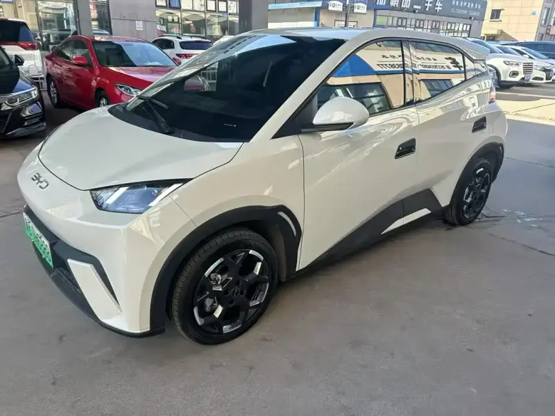 BYD Seagull, 2024