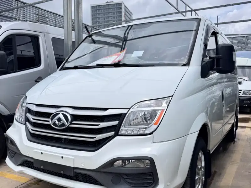 Maxus V80, 2020