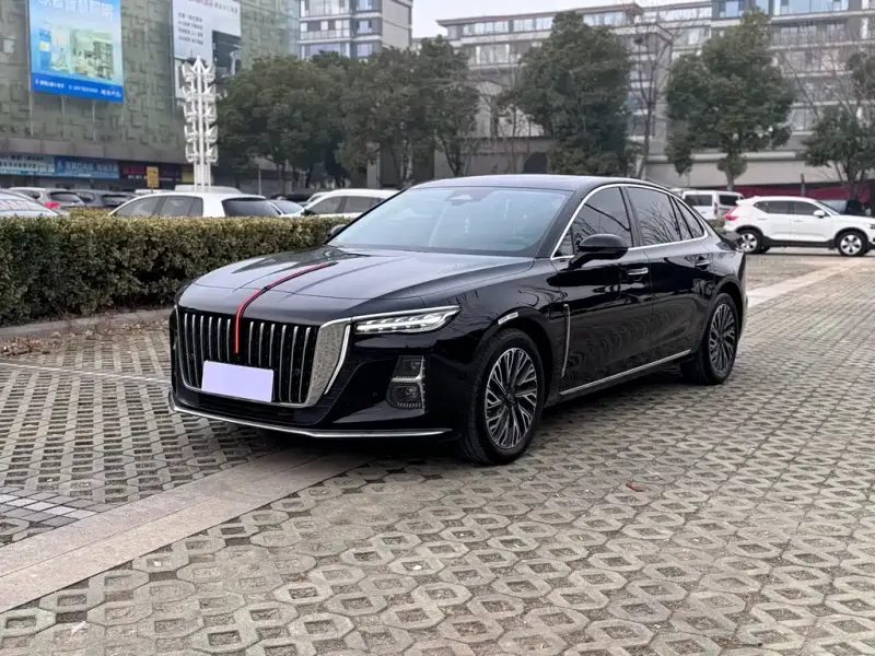 Hongqi H5, 2024