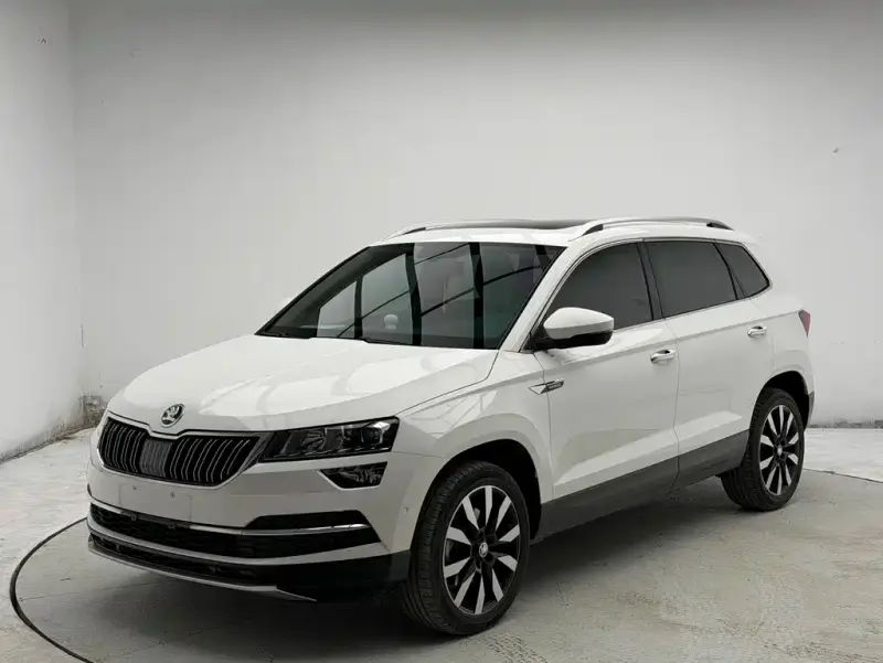 Skoda Karoq, 2022 — фото 1