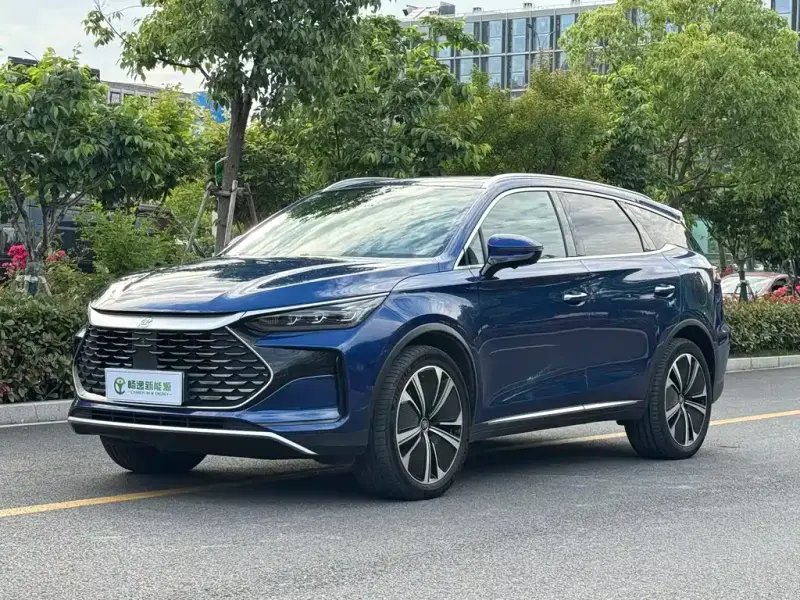 BYD Tang New Energy, 2022