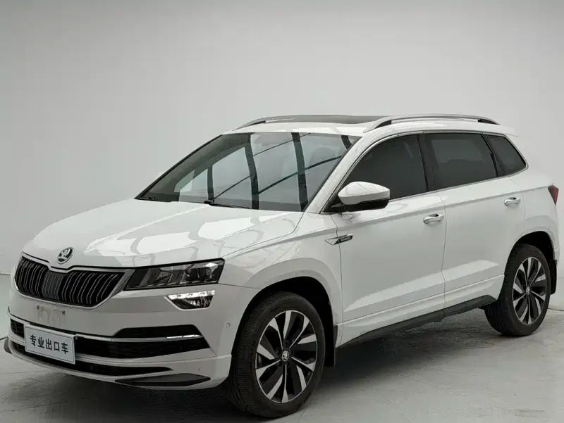 Skoda Karoq, 2024 — фото 1