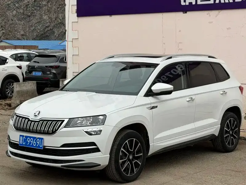 Skoda Karoq, 2024 — фото 1