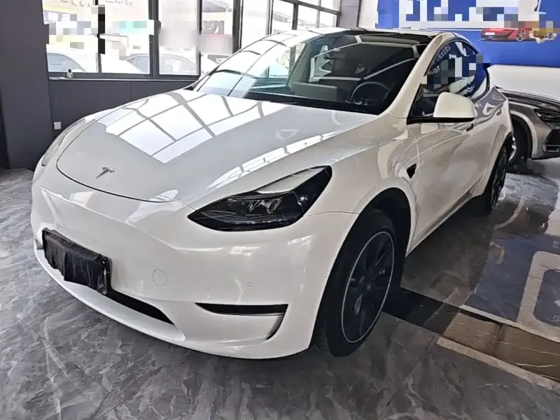Tesla Model Y, 2021 — фото 1