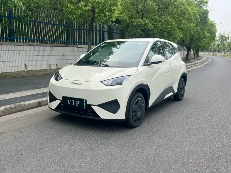 BYD Seagull, 2026