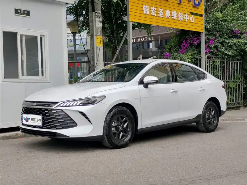 BYD Qin PLUS, 2025 — фото 1