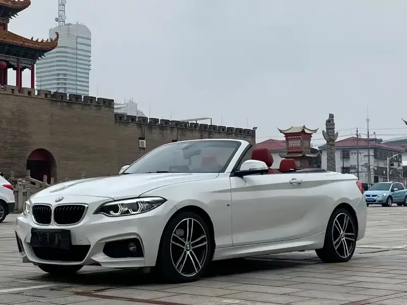 BMW 2 Series (Import), 2019 — фото 1