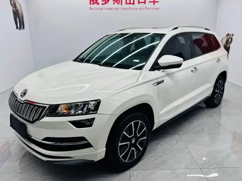 Skoda Karoq, 2023 — фото 1