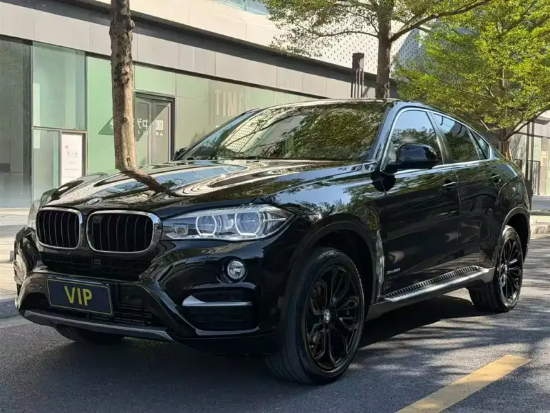 BMW X6, 2020