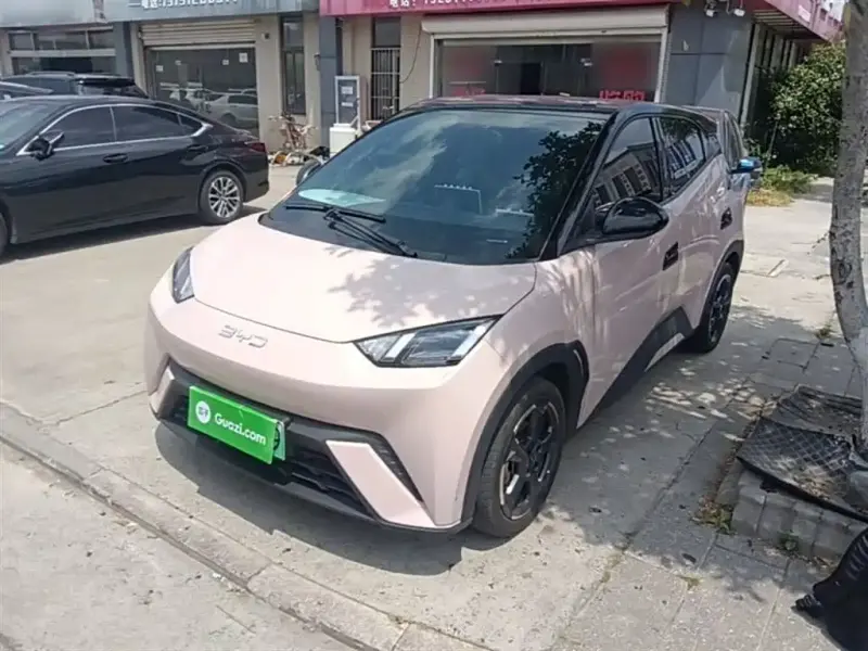 BYD Seagull, 2024