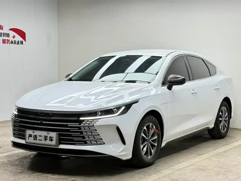BYD Destroyer 05, 2024