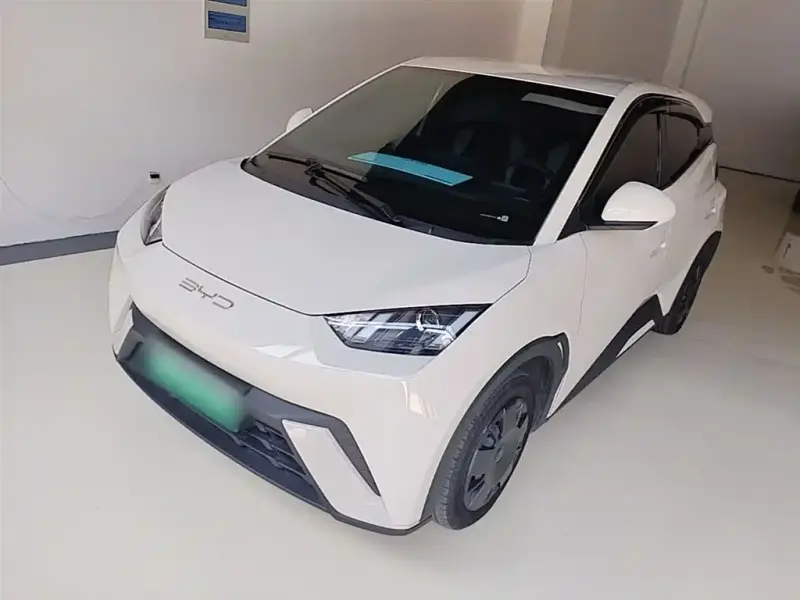 BYD Seagull, 2024