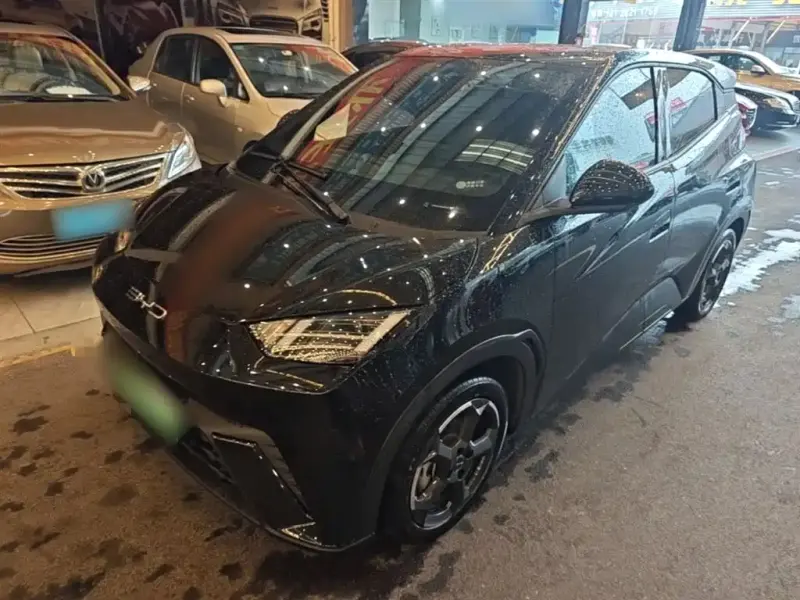 BYD Seagull, 2023