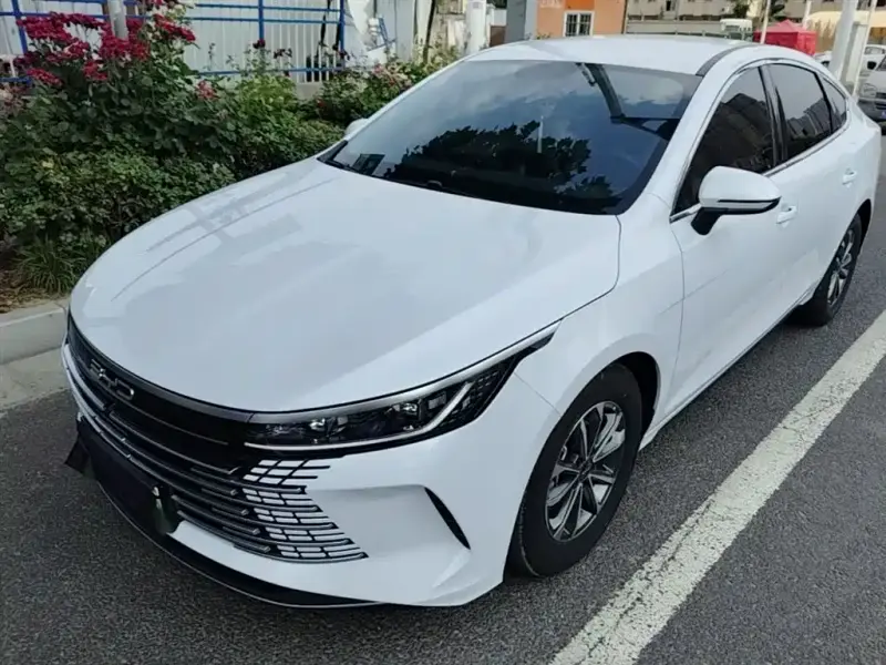 BYD Destroyer 05, 2024