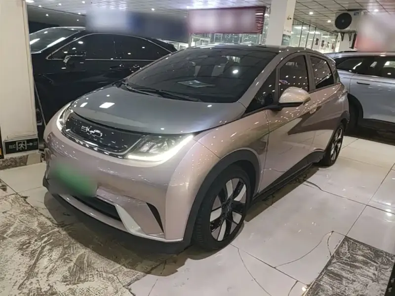 BYD Dolphin, 2022