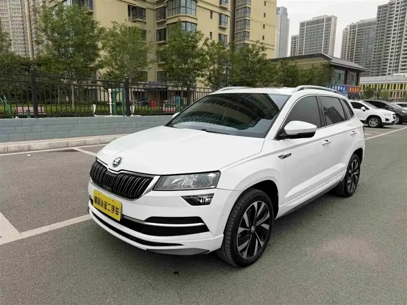 Skoda Karoq, 2022 — фото 1