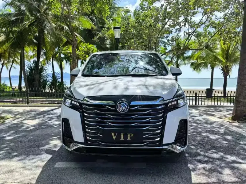 Buick GL8, 2021