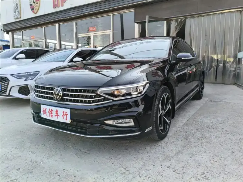 Volkswagen Magotan, 2024