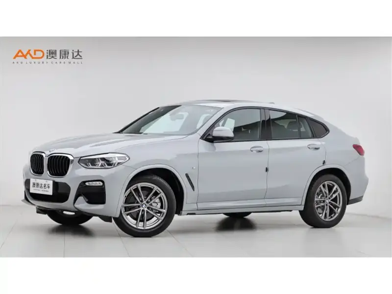 BMW X4, 2019 — фото 1
