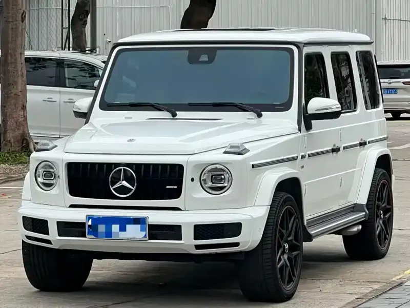 Mercedes-Benz G-Class, 2019 — фото 1