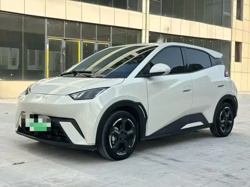 BYD Seagull, 2024