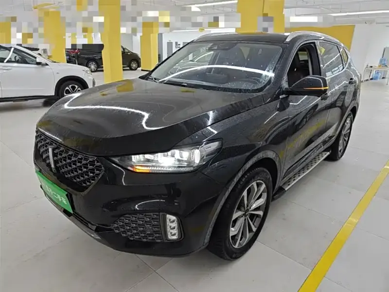 Wey VV6, 2020