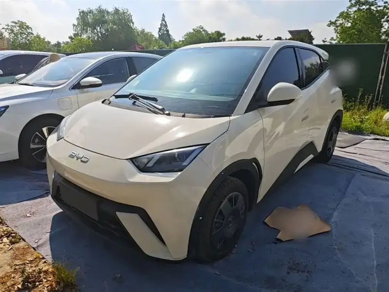 BYD Seagull, 2024