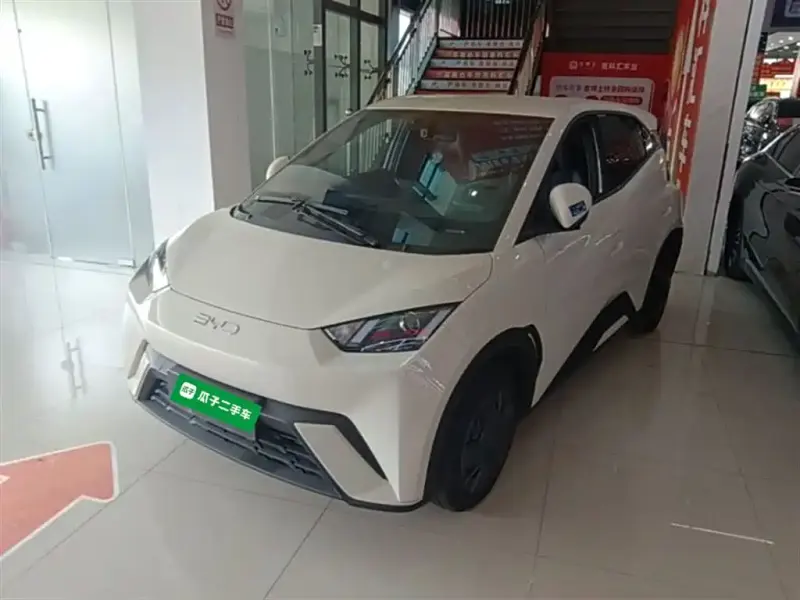 BYD Seagull, 2024