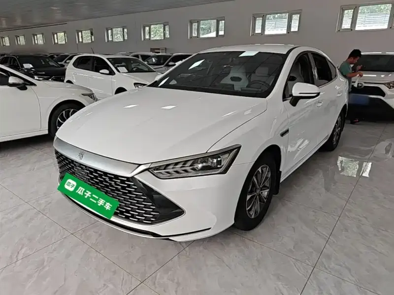BYD Qin PLUS, 2024 — фото 1
