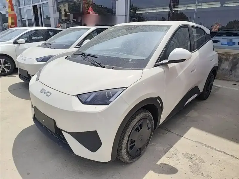BYD Seagull, 2026