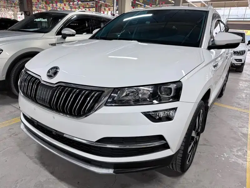 Skoda Karoq, 2018 — фото 1