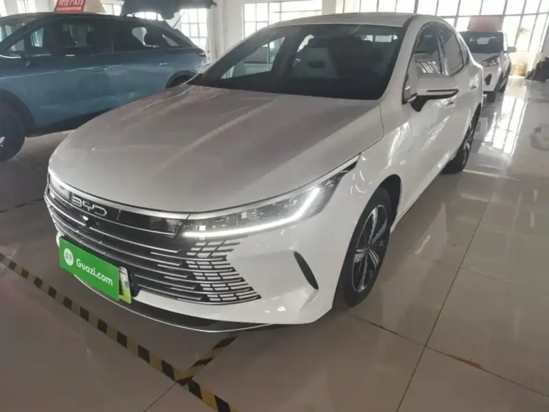 BYD Destroyer 05, 2024