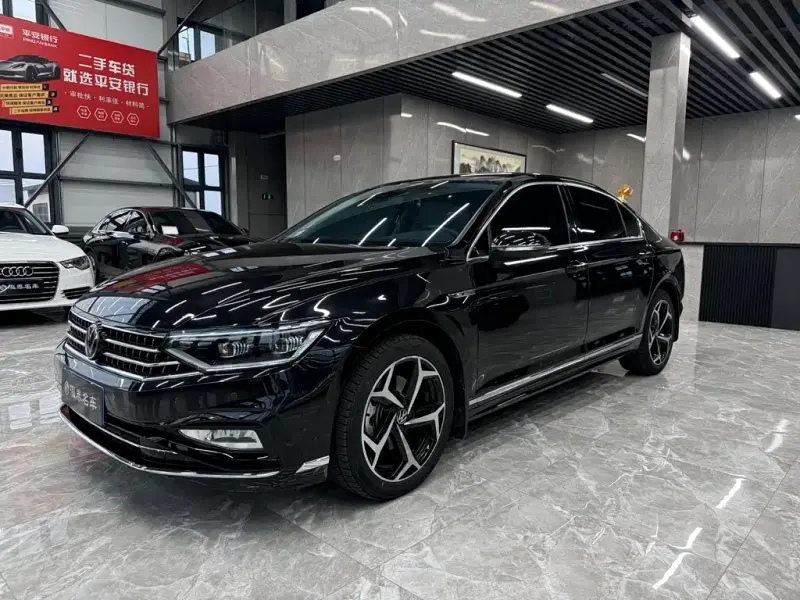 Volkswagen Magotan, 2024
