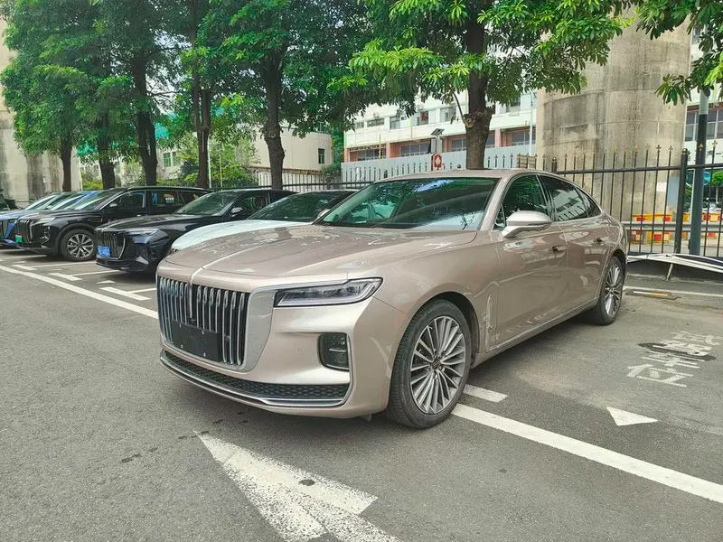 Hongqi H9 2.0T Smart Connected Edition, 2020 — фото 1