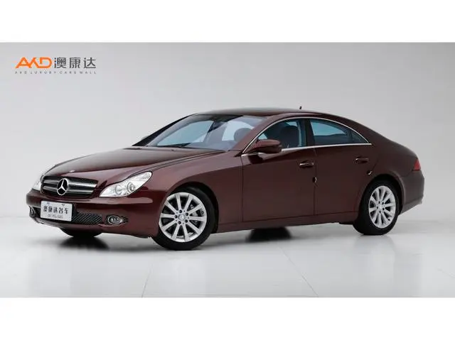 Mercedes-Benz CLS CLS 300, 2009 — фото 1
