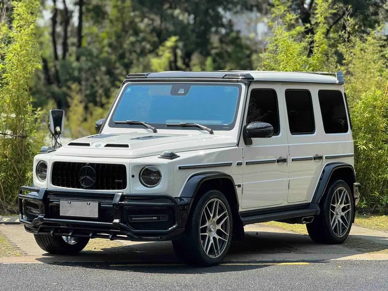 Mercedes-Benz G-Class G 500, 2020 — фото 1