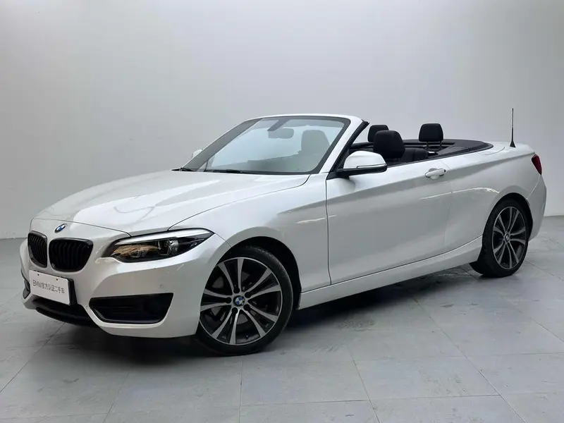 BMW 2-Series (Import) 225i Convertible Coupe Sport, 2019 — фото 1