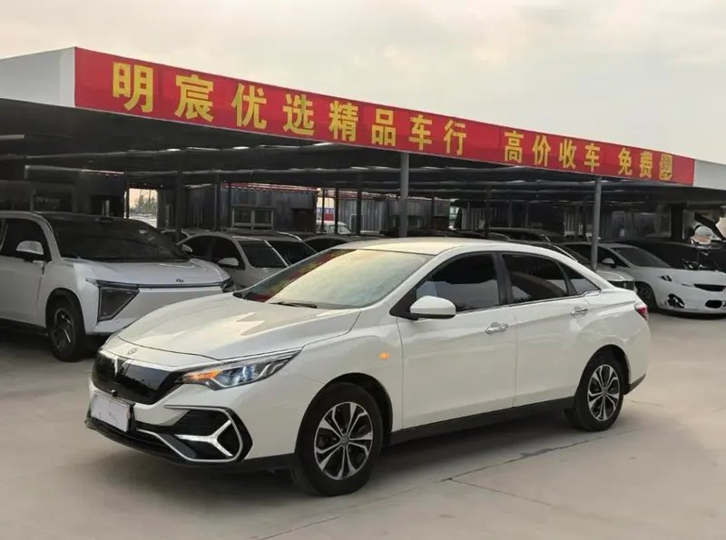 Venucia D60 EV, 2019