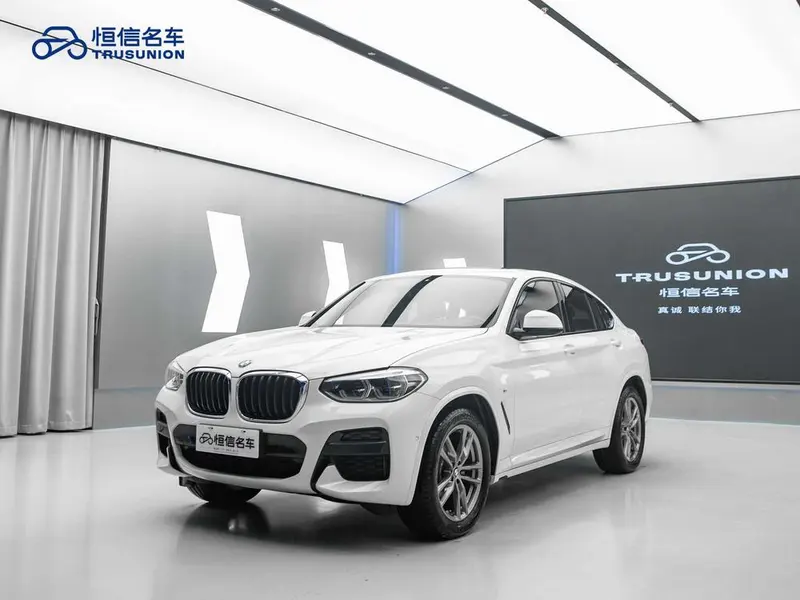 BMW X4 xDrive25i M Sport, 2020 — фото 1