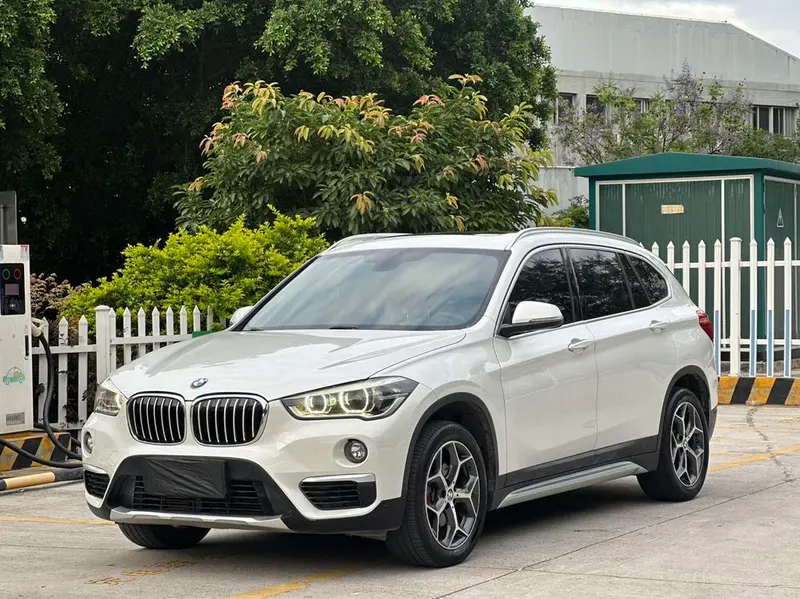 BMW X1 sDrive18Li Prestige Version, 2019 — фото 1