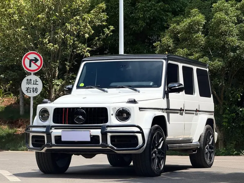 Mercedes-Benz G-Class G 500, 2017 — фото 1