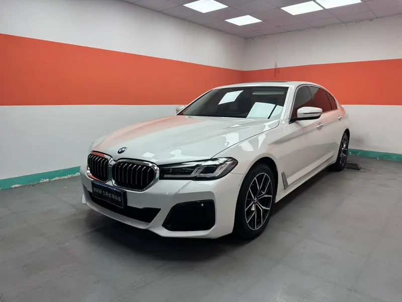 BMW 5-Series 525Li Luxury, 2018 — фото 1