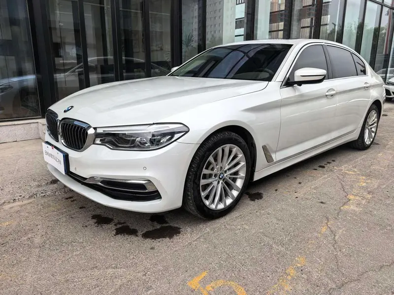 BMW 5-Series 530Li xDrive Luxury, 2020 — фото 1