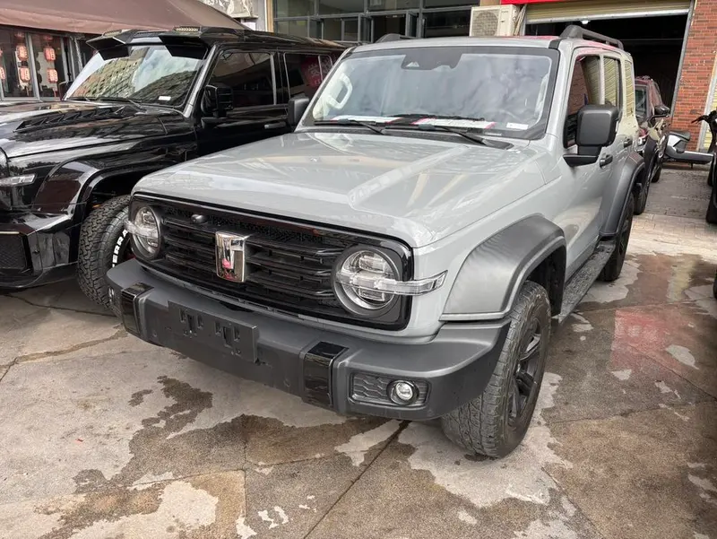 Tank 300 Offroad Edition 2.0T, 2021 — фото 1