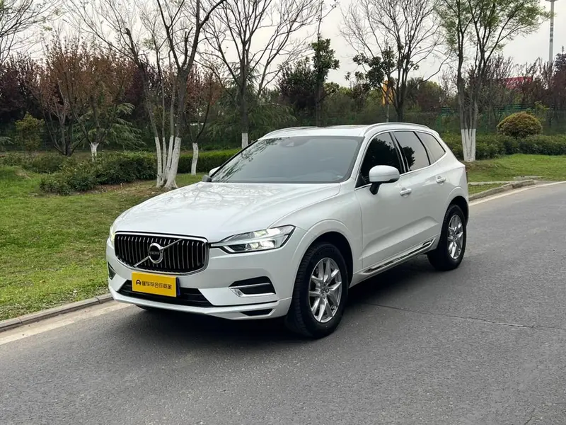 Volvo XC60 T5 4WD Luxury Edition, 2020 — фото 1