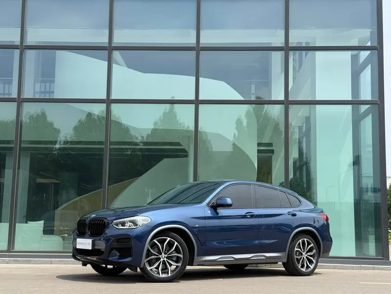 BMW X4 xDrive25i M Offroad, 2019 — фото 1