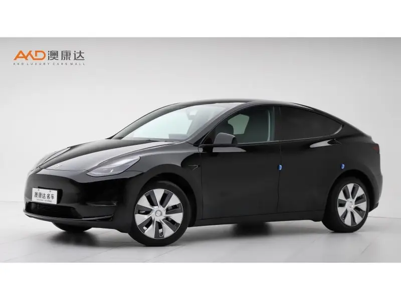 Tesla Model Y, 2022