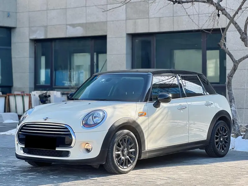 MINI MINI, 2016